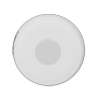 detalle1_thumb.png