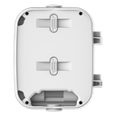 detalle2.png