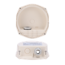 detalle5.png