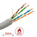 detalle1.png