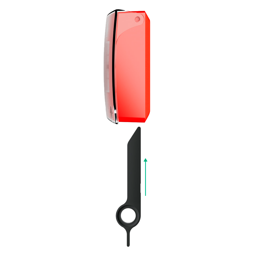 detalle1.png