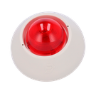 detalle1.png