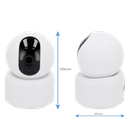 detalle1.png