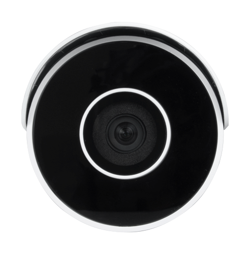 detalle5.png