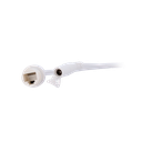 detalle4.png