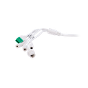 detalle5.png