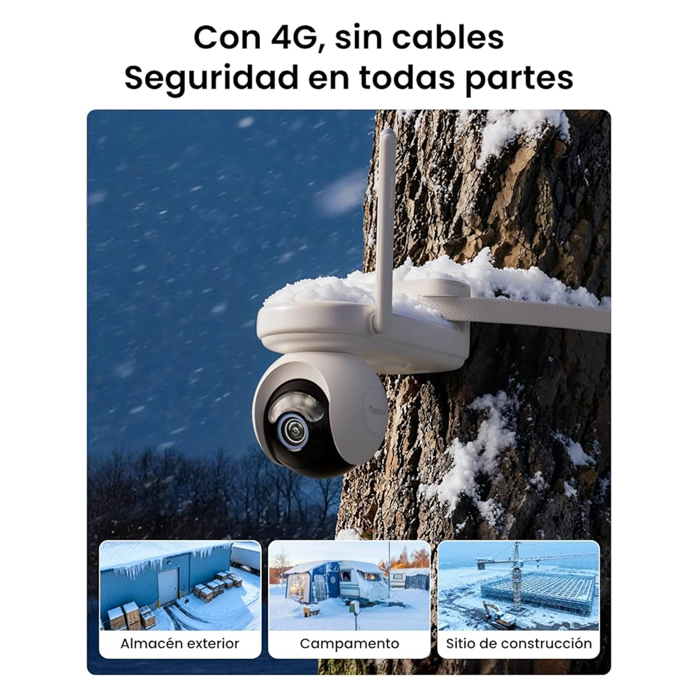 detalle3.png