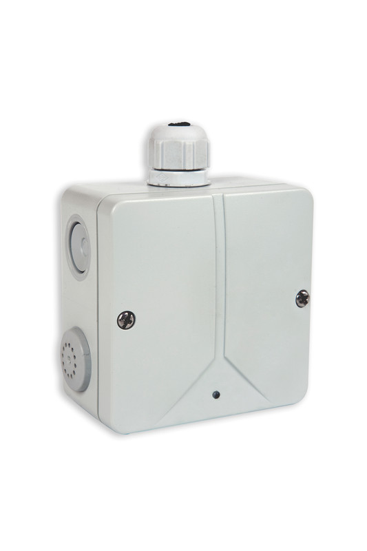 DMDP-500