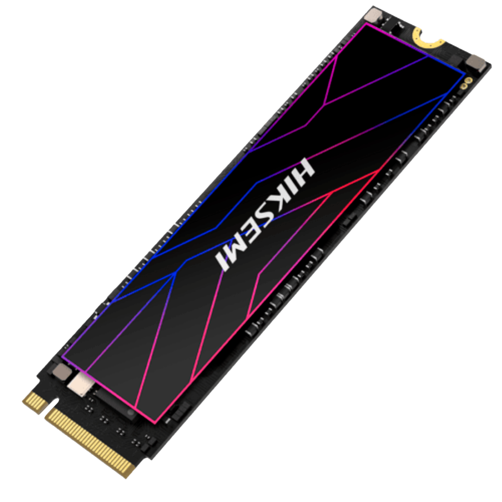 HS-SSD-FUTURE Pro(STD)/1024G/PCIE4/WW