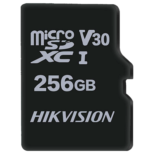 HS-TF-M1STD-256G